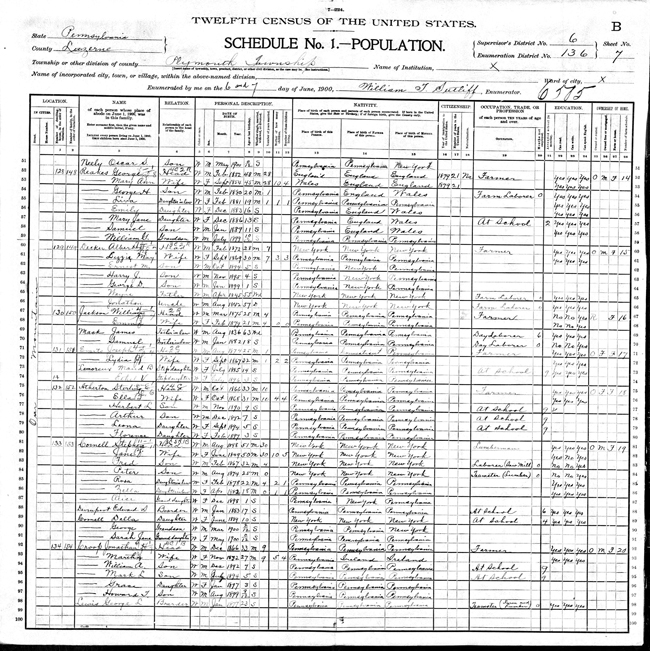 1900 census for Peter Cornell