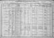 1910_census_DobsonP2.jpg