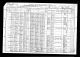 1910 Census South Whitehall Lehigh PA.jpg